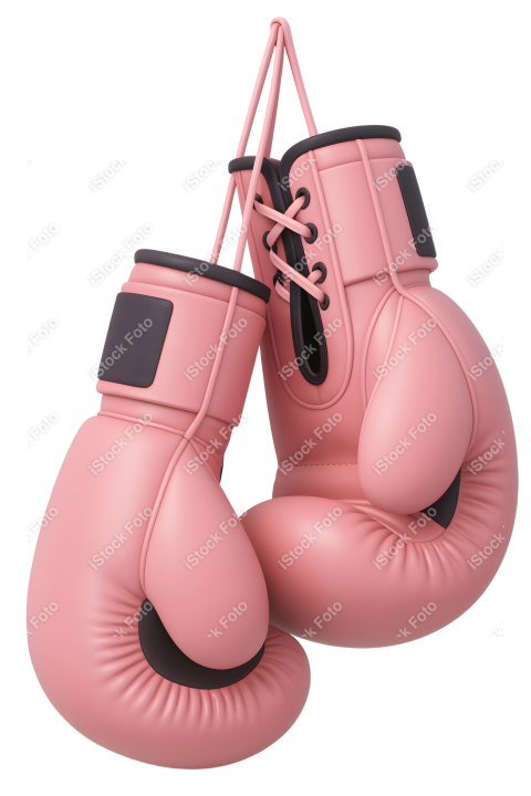 Mascote Outubro Rosa (26)