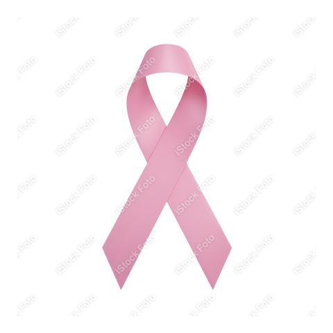 Mascote Outubro Rosa (53)