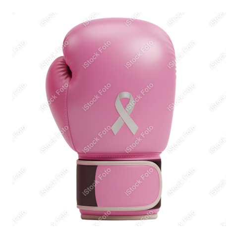 Mascote Outubro Rosa (88)