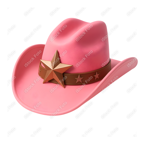 Mascote Boiadeira (38)