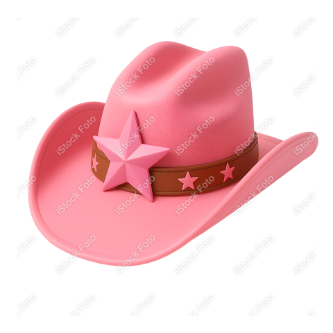 Mascote Boiadeira (39)