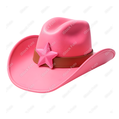 Mascote Boiadeira (40)